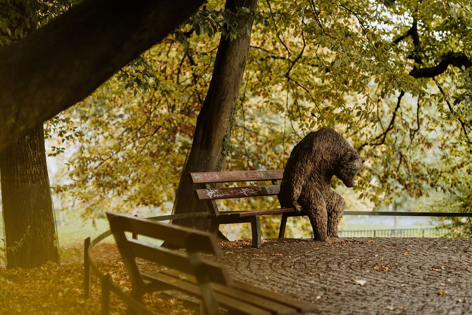 stadspark Maastricht beer op bank