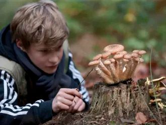 Foto van een kind bij een omgevallen boom waarop paddestoelen groeien.