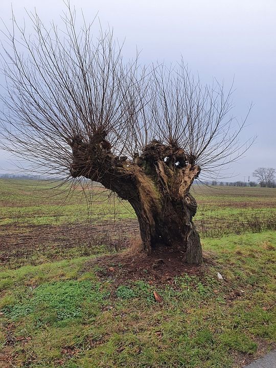 Nationale Naturarbeitstage