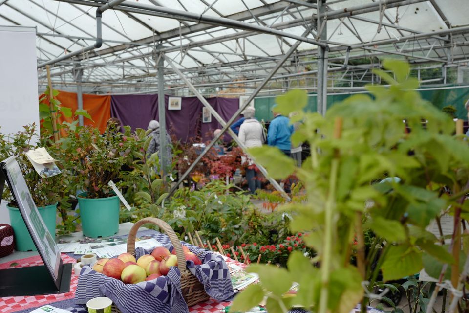 eetbare markt