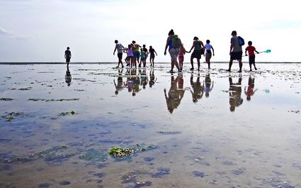 Ontwakend Wad met de Waddenvereniging