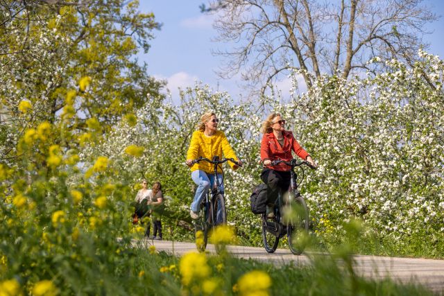 Twee vrouwen op de fietsen, omringt door bloeiende appelbomen.