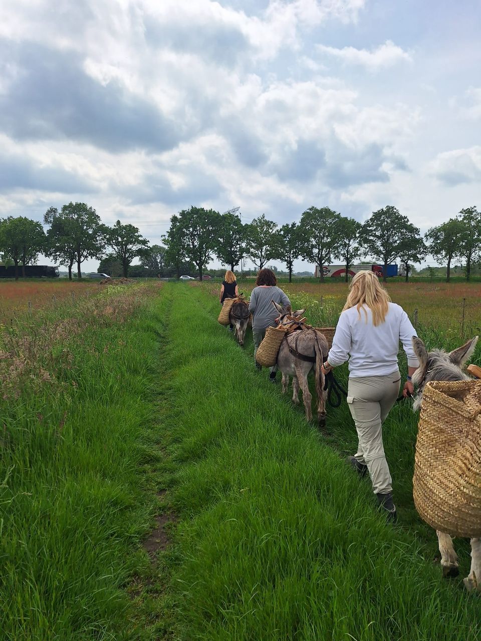 Vijf vrouwen lopen achter elkaar met elk een ezel in het groene buitengebied van Oisterwijk