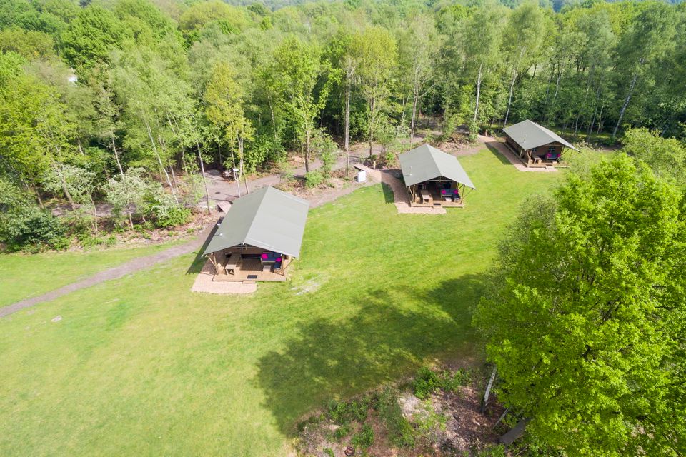 Een luchtfoto van safaritenten op een grasveld tussen de bomen.