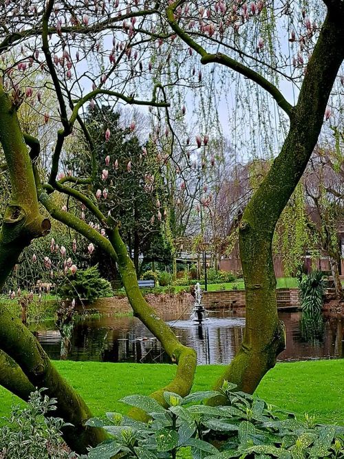 Het mooie park van Floralia