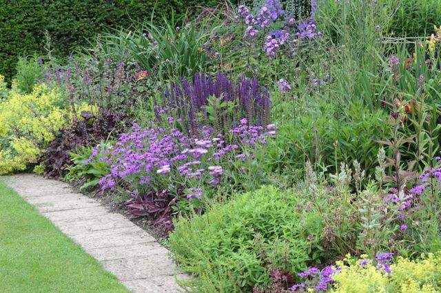 Tuinworkshop |  Seizoensborder