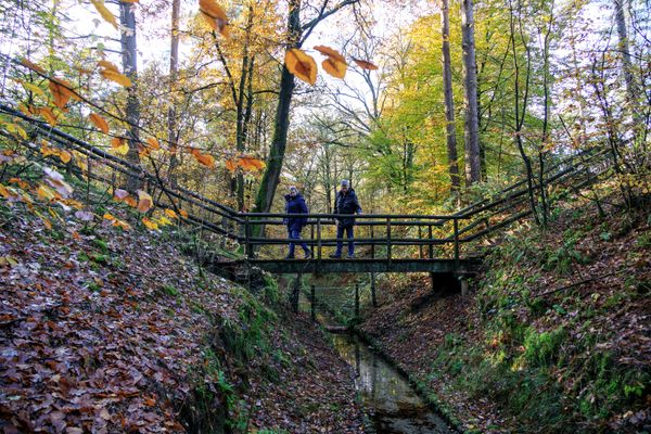Wandelaars in de herfst bij de Eerbeekse Beek
