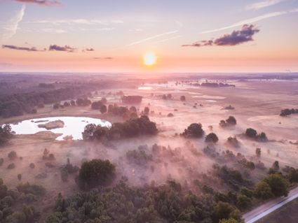Ochtendgloren Dwingelderveld