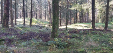 Wandelexcursie door het Appense Veld van IVN Eerbeek