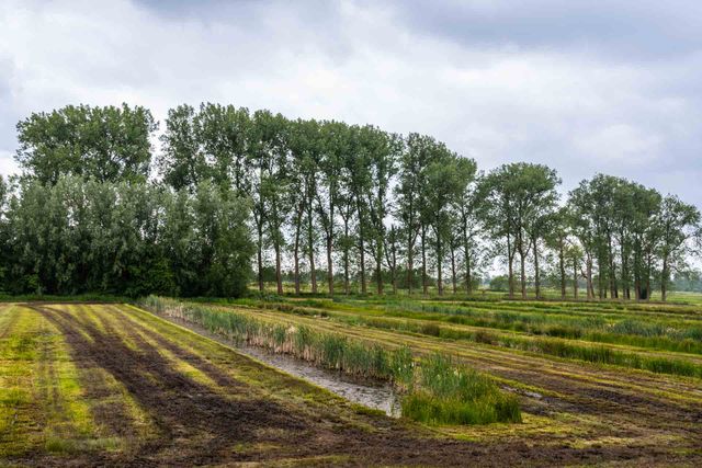 Het slagenlandschap; moerassen, veenputten en bosjes.