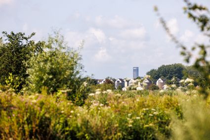 Groene Ster, recreatie, zomer
