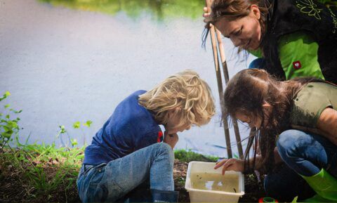 rondje-natuur-over-reptielen
