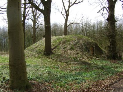 Aardappelkelder Kolonie Ommerschans