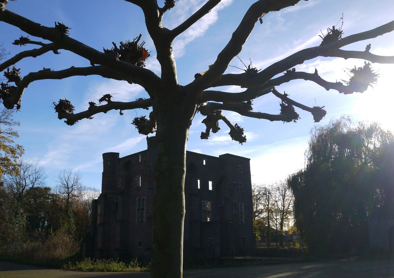 Groot kasteel kasteeldomein Deurne