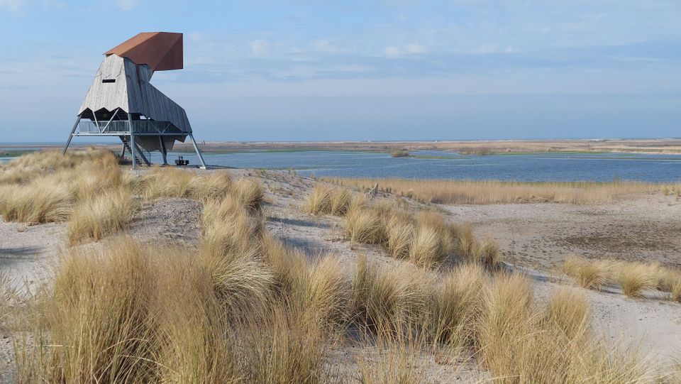 Foto op Marker Wadden.