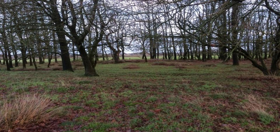 Huisplaats met zicht op oud beekdal grenzend aan de Veldkamp