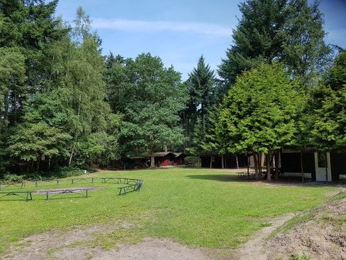 Camping het Horstmannsbos photo 4