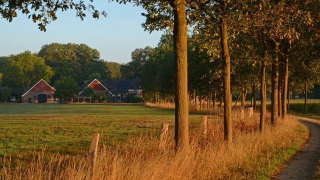 Wandelen | Rondje Rot en Hijink | Foto Nico Kloek