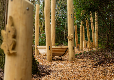klimtoestellen in het bos