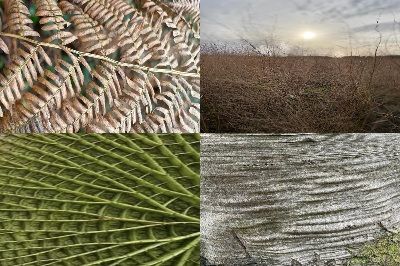 Kunst & Inspiratie Workshop: Anselm Kiefer