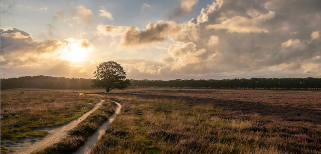 Zonsondergang boven de heide