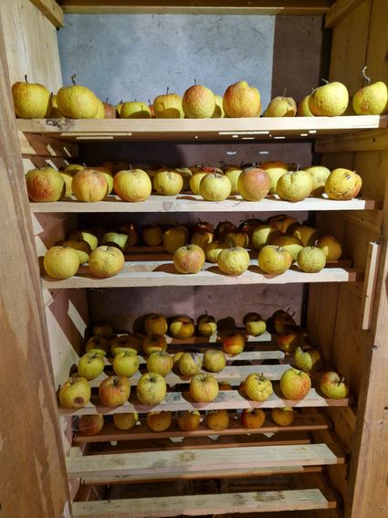 appelkast
