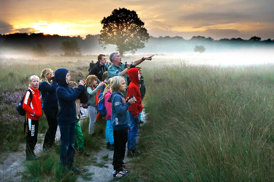 Het Nationale Park de Hoge Veluwe - kinderactiviteiten in Ede - BezoekEde