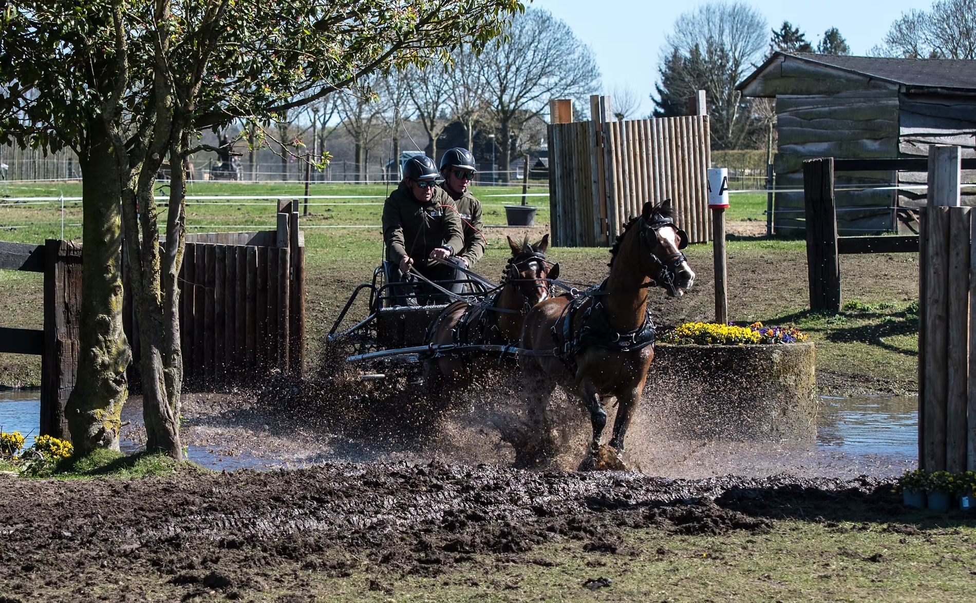 Paarden en koets (aanspanning) op het mooie parcours in Heukelom