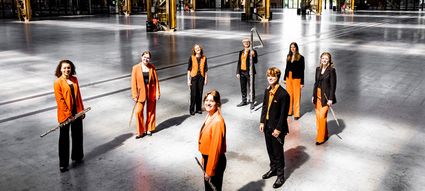 Programmering van Theater de Lievekamp
