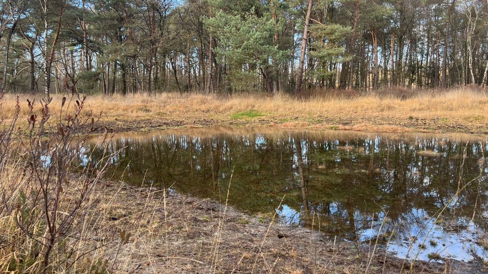 IVN-KNNV | Natuurwerkdagen (werkgroep natuurbeheer)