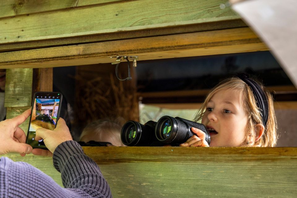 Meisje kijkt door een verrekijker in een vogelkijkhut.