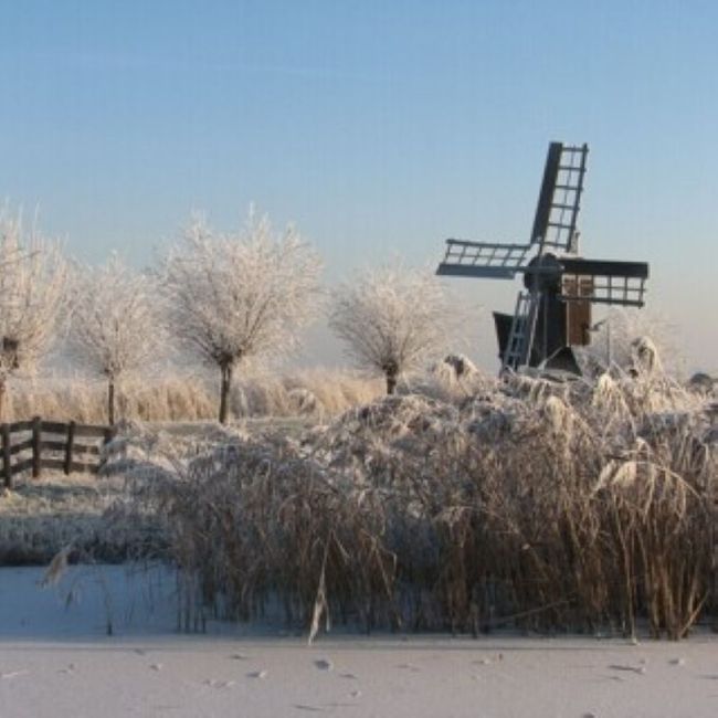 Winter in het veld