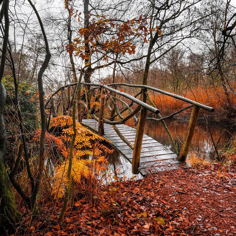 woerdense-verlaat-beleef-woerden-herfst