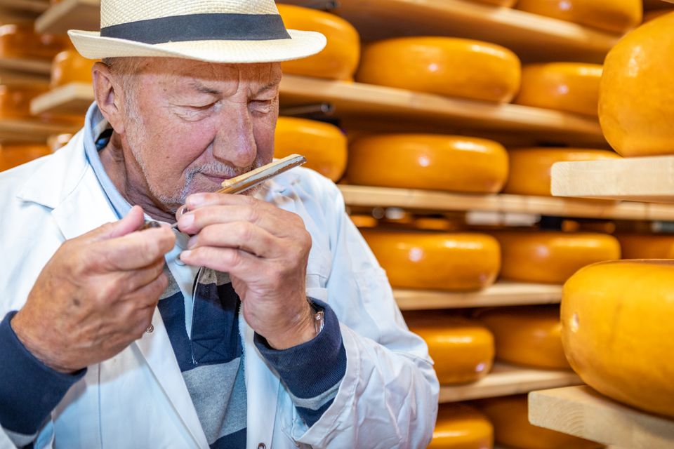 Woerdense kaasmaker die de kaas controleert in het Kaaspakhuis in Woerden.