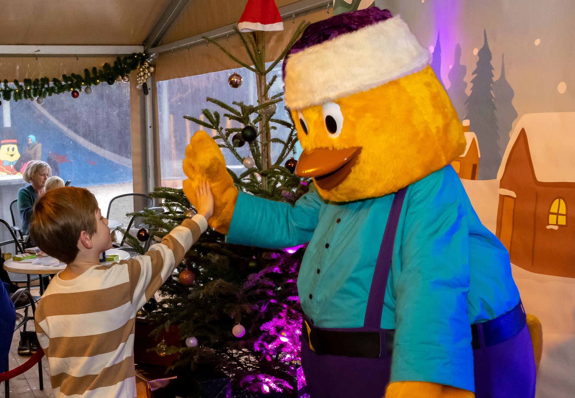 Nieuwjaarsduik BillyBird