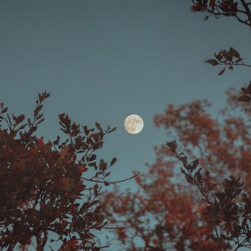 Full Moon Ritual – Soul (met Dennis Kokmeijer)