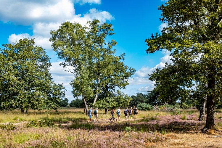 Groep wandelaars op de Kampina