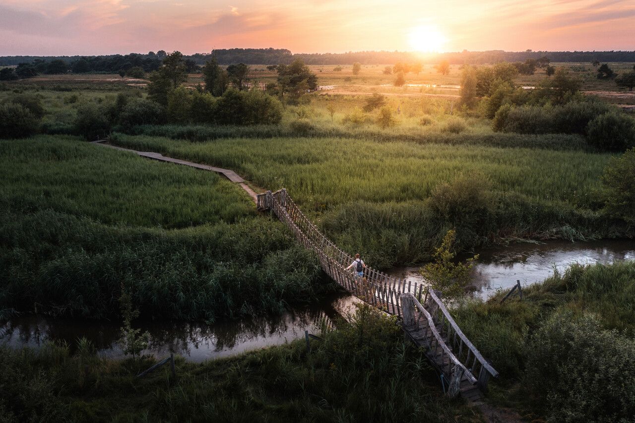 Een man loopt over een loopbrug over Het Dommelpad.