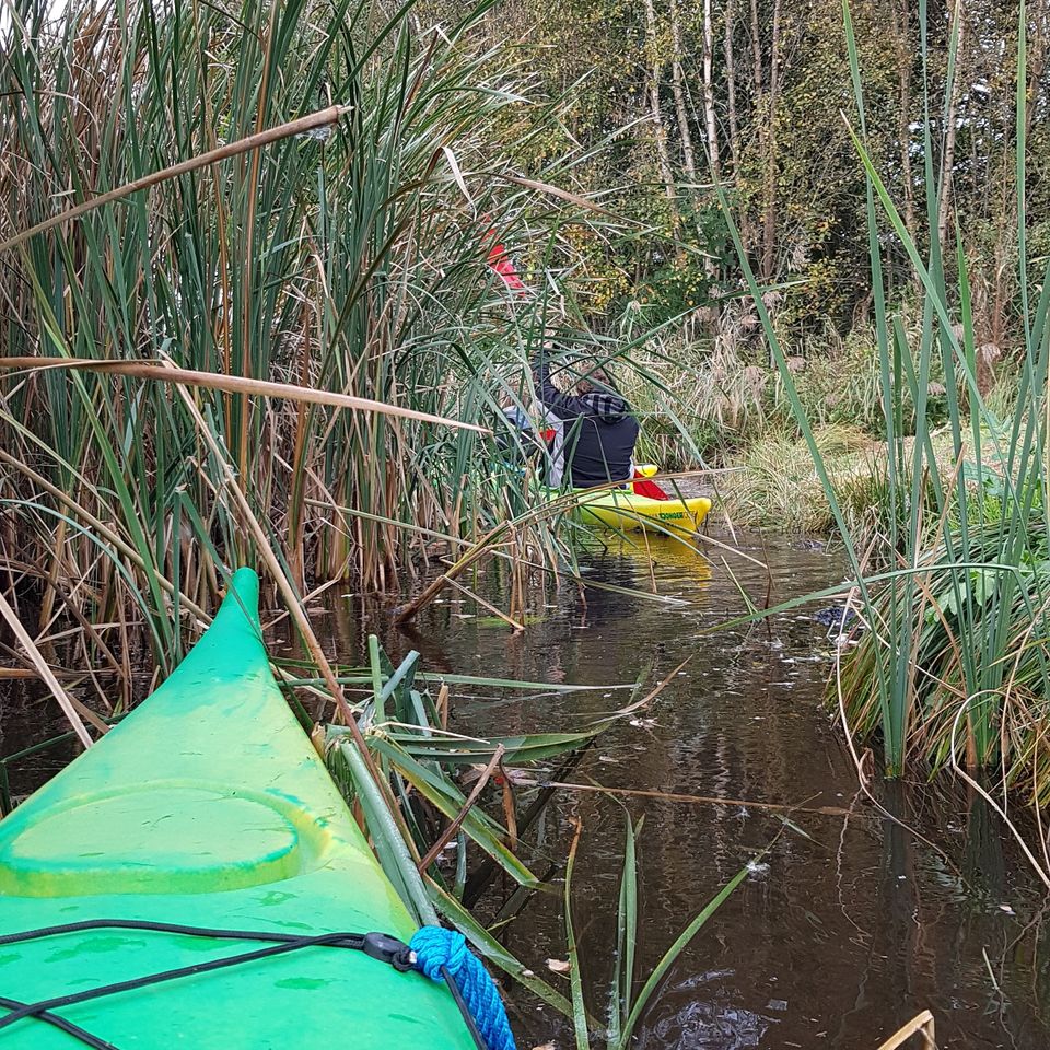 Kayakken otters