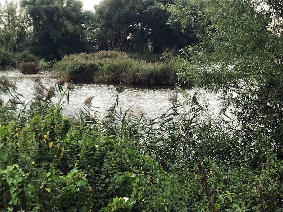 Het natuurgebied de Palmerswaard bij Rhenen waar de passagiers met de gids op excursie gaan.