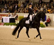 Indoor Brabant - The Dutch Masters