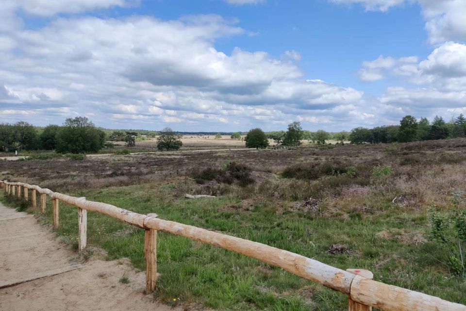 Havelterberg uitzicht Holtingerveld