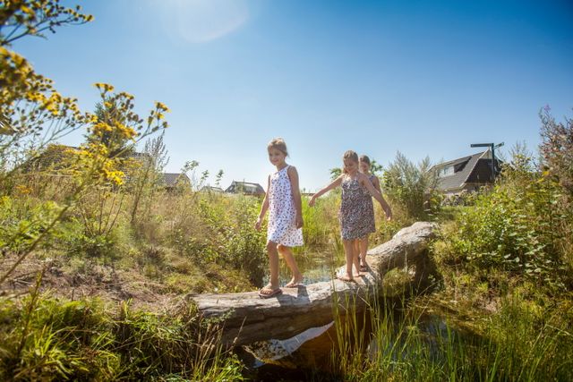 Kinderen lopen over een boomstam en steken zo het water over op een bungalowpark.