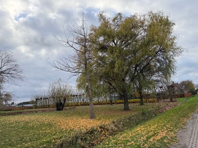 winterwandeltocht DJA