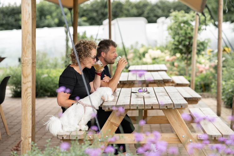 Recreatieboerderij Wilgenhart