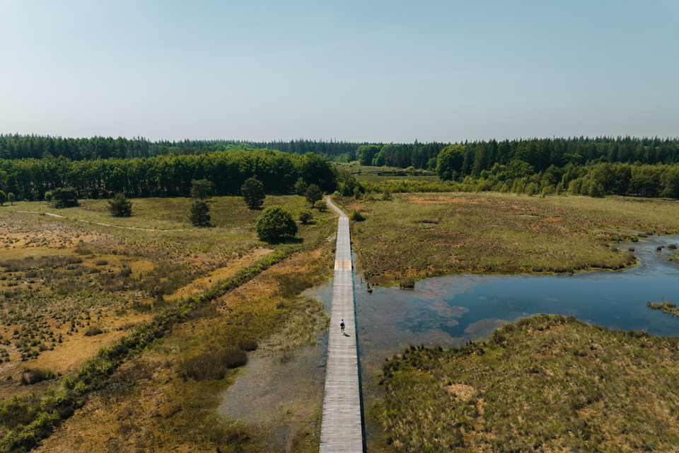 Drohnenaufnahme von einem Mann, der an einem sonnigen Tag über einen langen Holzsteg im Naturschutzgebiet 'Hart van Drenthe' geht