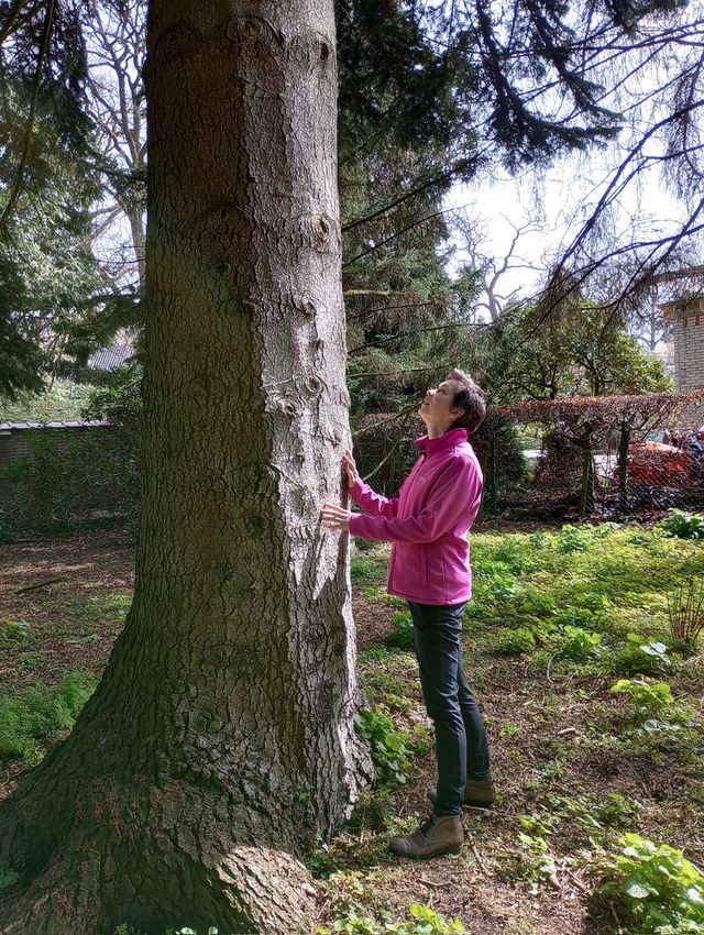 Bosbaden door contact te maken met een boom