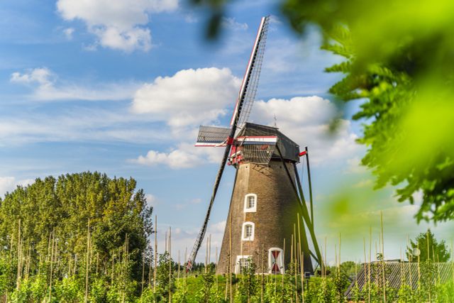 Molen in Lieshout