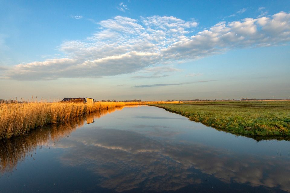 Herfst in de Eilandspolder