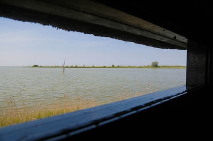 Een meer in Piaam, het meer word omringd door riet.